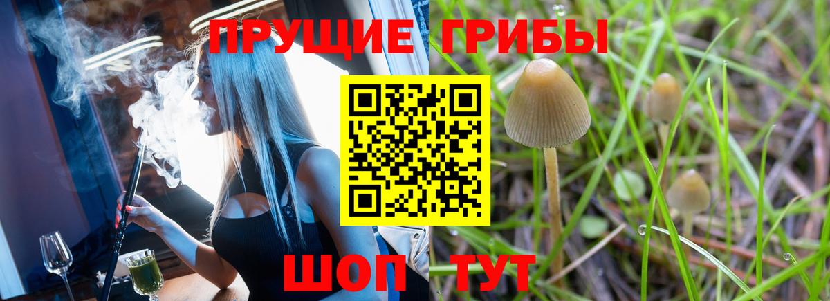Галлюциногенные грибы GOLDEN TEACHER Бердск